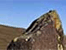 Crickhowell Walking Festival 2012